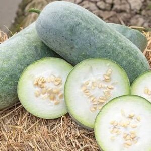 Ash Gourd (Budidha Gummadikaya)