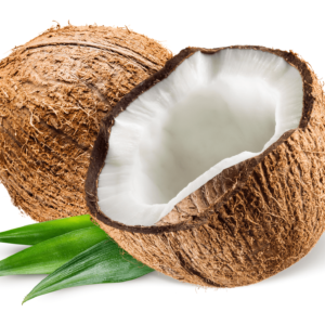 Coconut