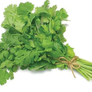 Coriander (Kotthimeera)