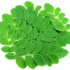 Drumstick Leaves(Munaga Aakulu)