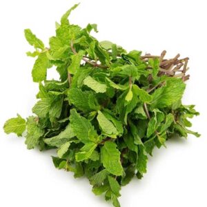 Mint Leaves (Pudina Aakulu)