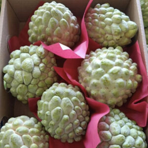 Custard Apple Egyptian