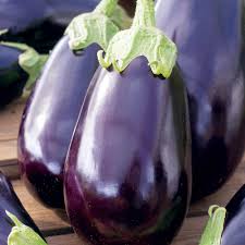 Black Beauty Brinjal