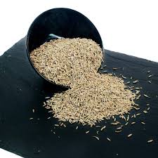 Jeera  100 g pack